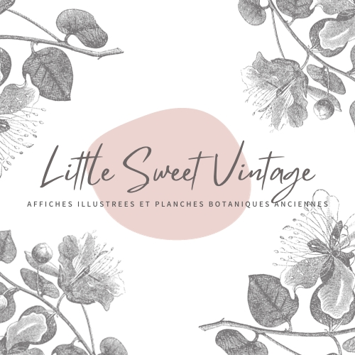 Logo de la marque Little Sweet Vintage qui présente des planches botaniques vintage